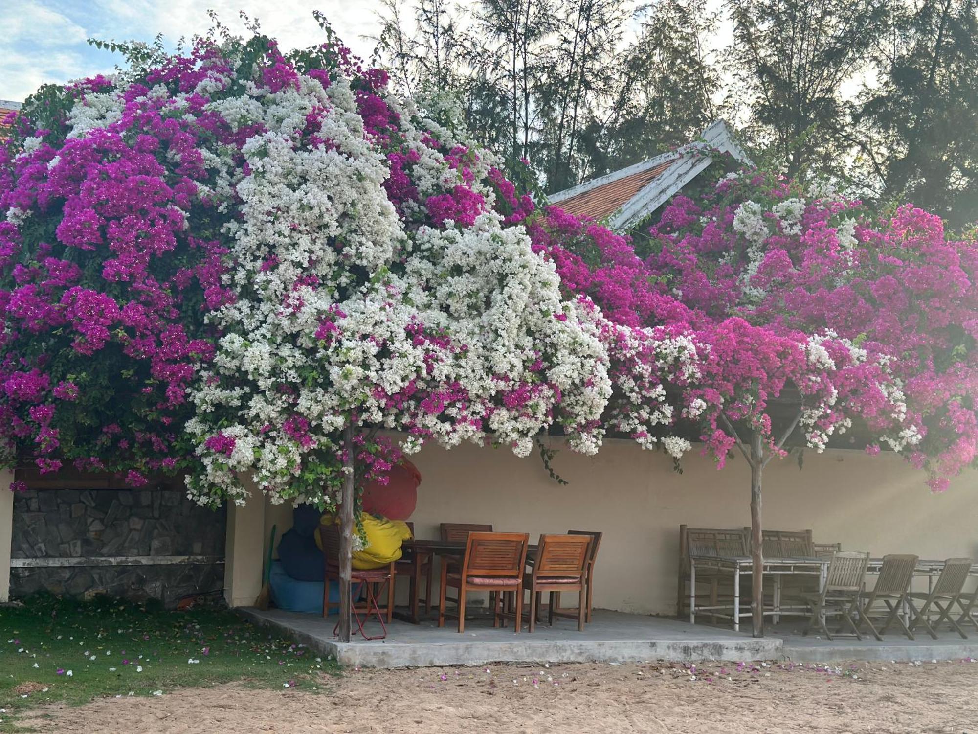 Orchid Boutique Beach Resort Phan Thiet Exterior photo